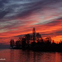 2014-12-24 07-47-59