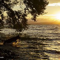 2015-06-27 21-06-57-2