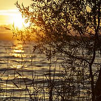 2015-06-27 21-10-01