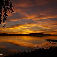 2015-11-08 18-04-49