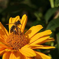 2012-08-17 16-33-35-2