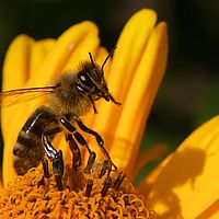 2012-08-17 16-33-35-3