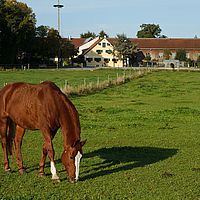 2012-10-03 08-57-30