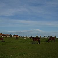 2012-10-03 08-58-22