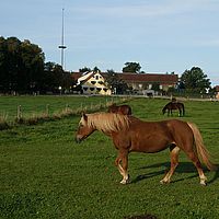 2012-10-03 08-59-28