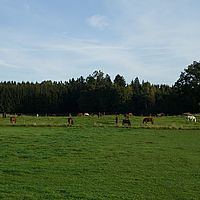 2012-10-03 09-02-36