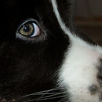 2012-12-16 13-09-41