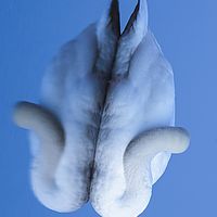 2016-03-09 18-48-34-2