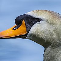 2016-06-23 12-27-47