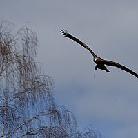 2013-04-14 11-22-36