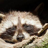 2013-04-14 12-54-31