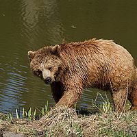 2013-04-14 13-21-13
