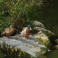 2013-07-05 17-37-45