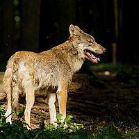 2013-07-06 09-09-30
