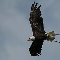 2013-07-06 11-15-21-2