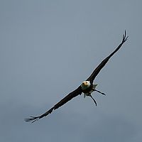 2013-07-06 11-15-30