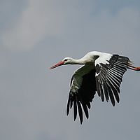 2013-07-06 11-21-00-2