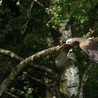 2013-07-06 11-25-00