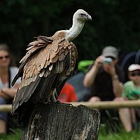 2013-07-06 11-27-11