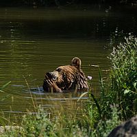 2013-07-27 10-33-59