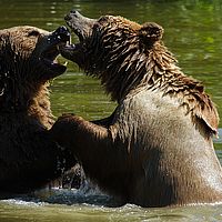 2013-07-27 10-49-39-3