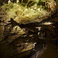 2015-07-04 11-19-49