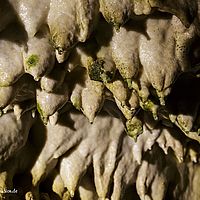 2015-07-04 12-10-59