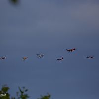 2015-08-08 20-16-22