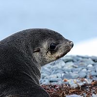 2009-02-26 15-41-40