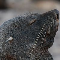 2009-03-05 09-02-39