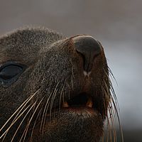 2009-03-05 09-20-12