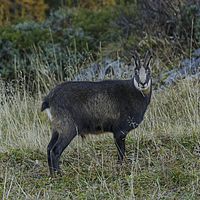 2017-10-14 07-53-31