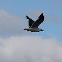 2009-02-19 15-54-57