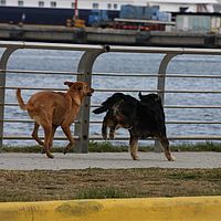 2009-02-19 16-04-16-1