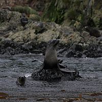 2009-03-13 09-34-40