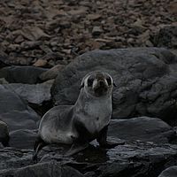 2009-03-13 09-37-40