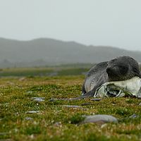 2009-03-14 10-12-29
