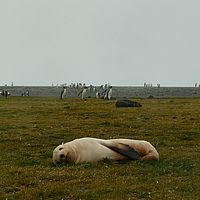 2009-03-14 10-44-03