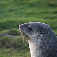 2009-03-15 16-12-11