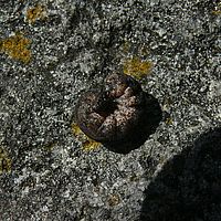 2009-03-29 14-19-05