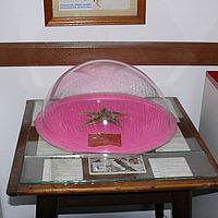 2009-03-01 11-27-36
