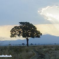 2015-08-28 17-44-36