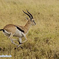 2015-09-05 09-10-27-4