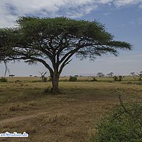 2015-09-05 12-49-08
