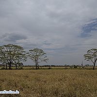 2015-09-05 13-13-58