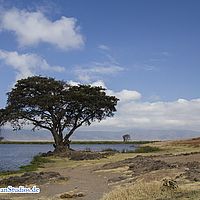 2015-09-07 09-35-24