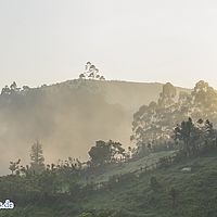 2015-09-15 07-26-52