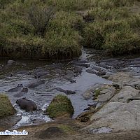 2015-09-06 07-03-39