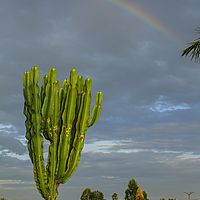 2015-09-20 07-06-39