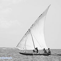 2015-08-31 11-14-38